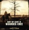  Bury My Heart at Wounded Knee