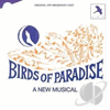  Birds of Paradise