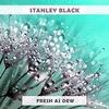  Fresh As Dew: Stanley Black