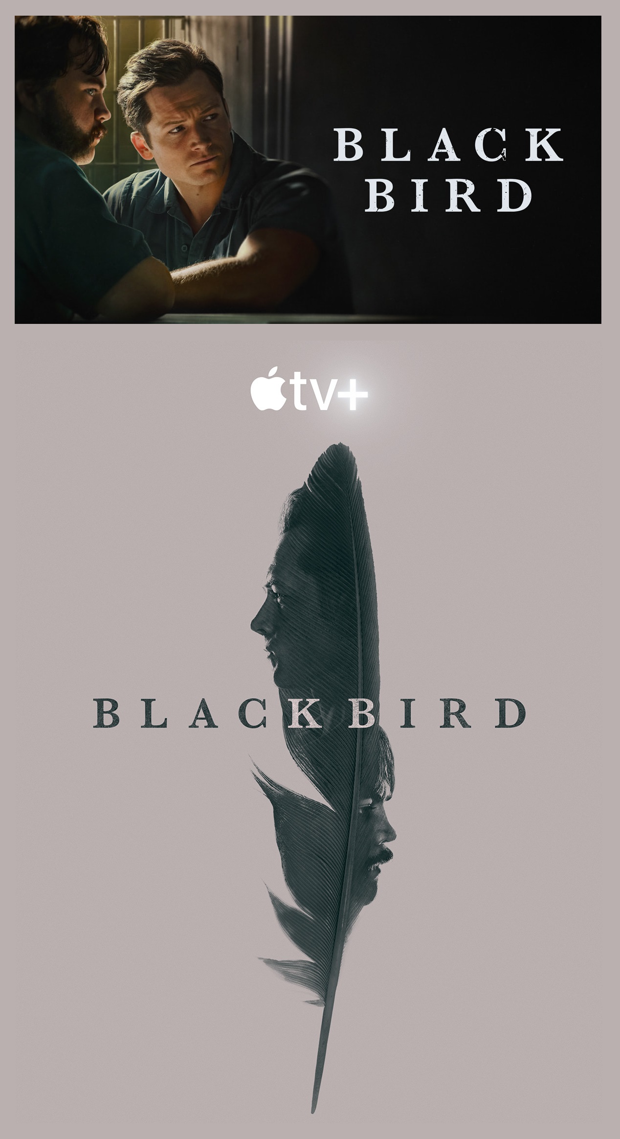 Black Bird - Season 1