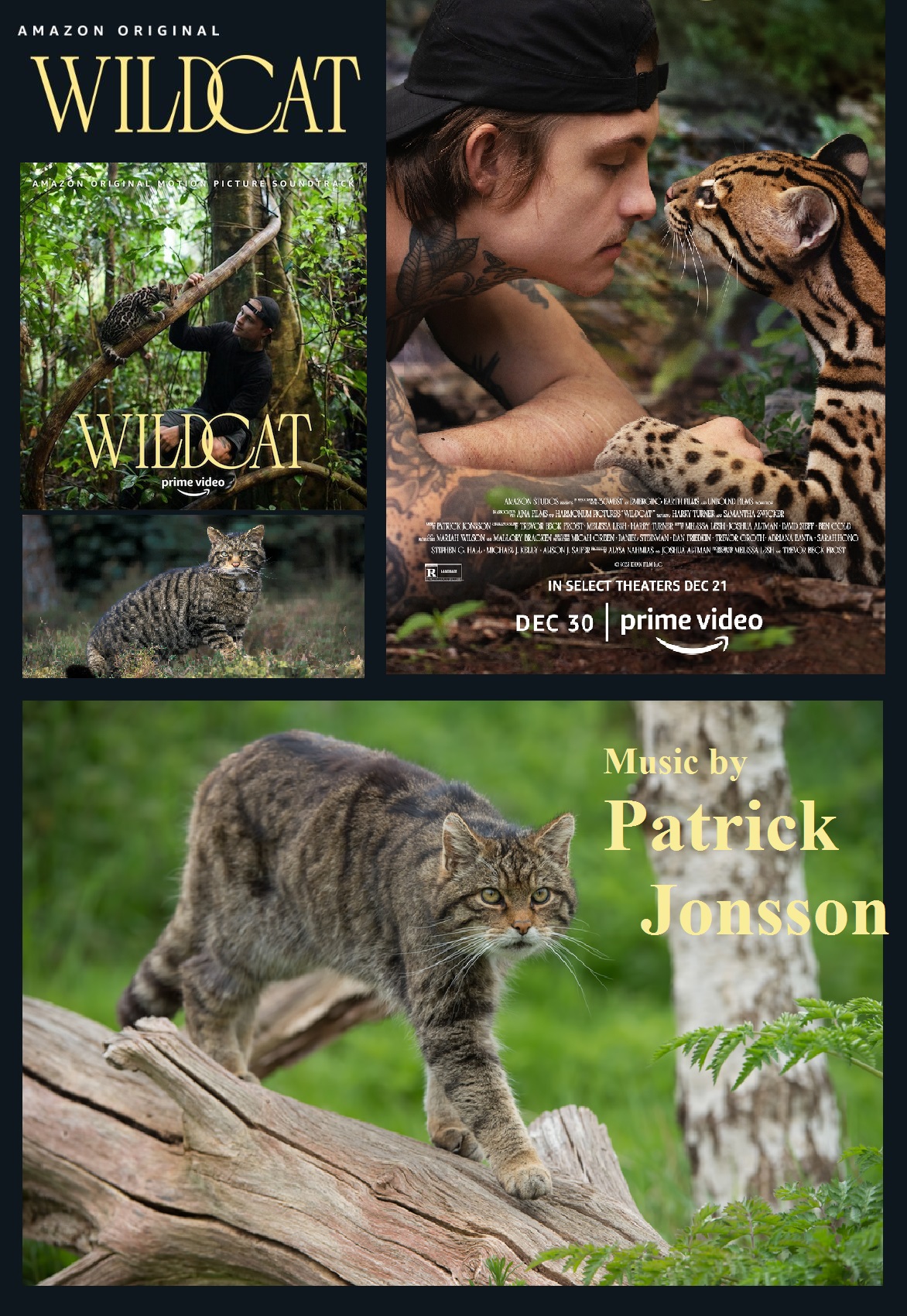 Wildcat (documentary)