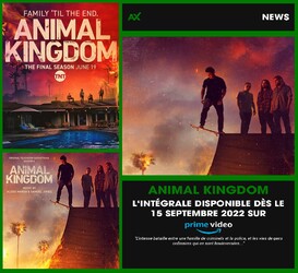 Animal Kingdom: Saison 6