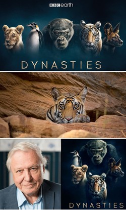 Dynasties (srie BBC Tv)