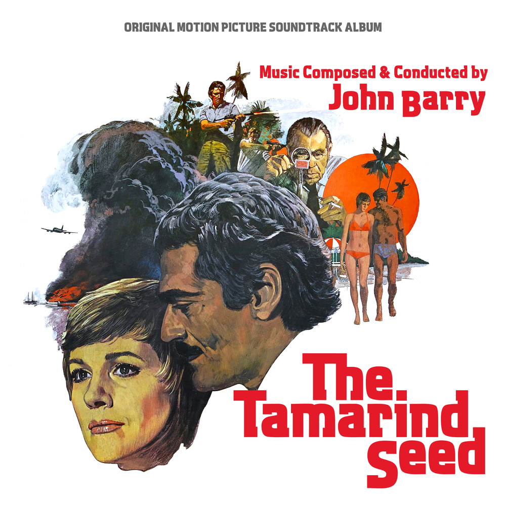 Top Secret (The Tamarind Seed)