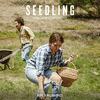  Seedling