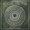  Mineral Enrichments, an Aperture: Salt Mines Acoustic Experiment