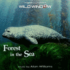  Wild Window: Forest in the Sea