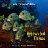  Wild Window: Bejeweled Fishes