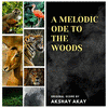 A Melodic Ode To The Woods