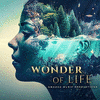  Wonder of Life