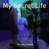  My Secret Life, Vol. 8 Chapter 7: The Silk Is Yours     