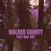  Walker County: Part One