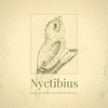  Nyctibius
