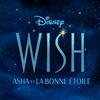  Wish: Asha et la bonne toile