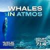  Whales in Atmos