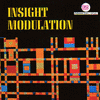  Insight Modulation