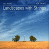  Landscapes with Strings