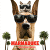  Marmaduke