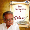  Best Collection of Gulzar