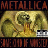  Metallica: Some Kind of Monster