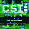  CSI: Crime Scene Investigation