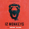  12 Monkeys