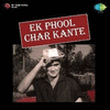  Ek Phool Char Kante