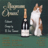  Magnum Opuss!: Cabaret Songs By B. Iris Tanner