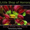  Little Shop Of Horrors Songs From The Movie Performed By Wildlife