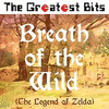 Breath of the Wild The Legend of Zelda