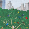  Birders: The Central Park Effect