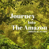  Journey into the Amazon