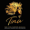  Tina - The Tina Turner Musical