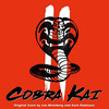  Cobra Kai: Season 2