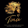  Tina: The Tina Turner Musical
