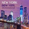  New York New York Theme - New York New York