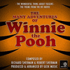 The Many Adventures of Winnie the Pooh: The Wonderful Thing About Tiggers