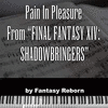  Final Fantasy XIV Shadowbringers: Pain In Pleasure