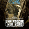  Synecdoche New York