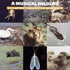 A Musical Wildlife, Vol. 3: Activity-Descriptive