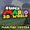  Super Mario 3D World - Marimba Covers