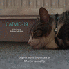  Catvid-19