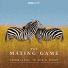The Mating Game - Grasslands: In Plain Sight