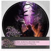 The Dark Crystal: Age Of Resistance - The Aureyal