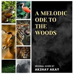 A Melodic Ode To The Woods Soundtrack (Akshay Akay Music) - CD cover