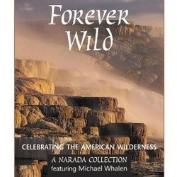 Forever Wild Soundtrack (Michael Whalen) - CD cover