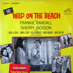 Wild on the Beach Trilha sonora (Various Artists, Jimmie Haskell) - capa de CD