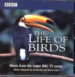 Life of Birds Soundtrack (Steven Faux) - CD-Cover