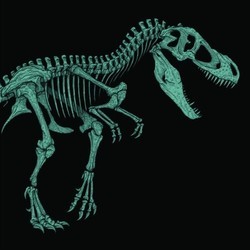 Jurassic Park Soundtrack (John Williams) - CD cover
