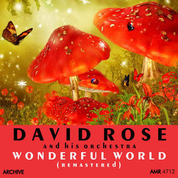 Wonderful World Soundtrack (Various Artists, David Rose) - CD cover